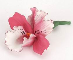 Каттлея - цветок Ёдзи