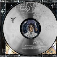 Schwarz II. Дизайн диска